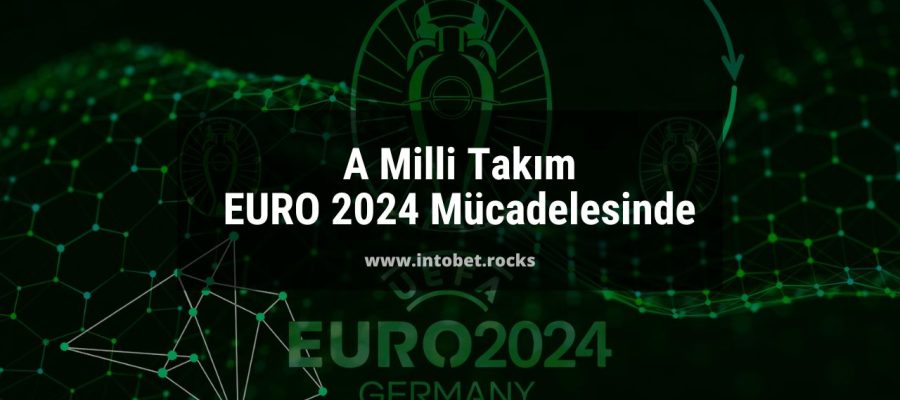 A Milli Takım EURO 2024 Mücadelesinde